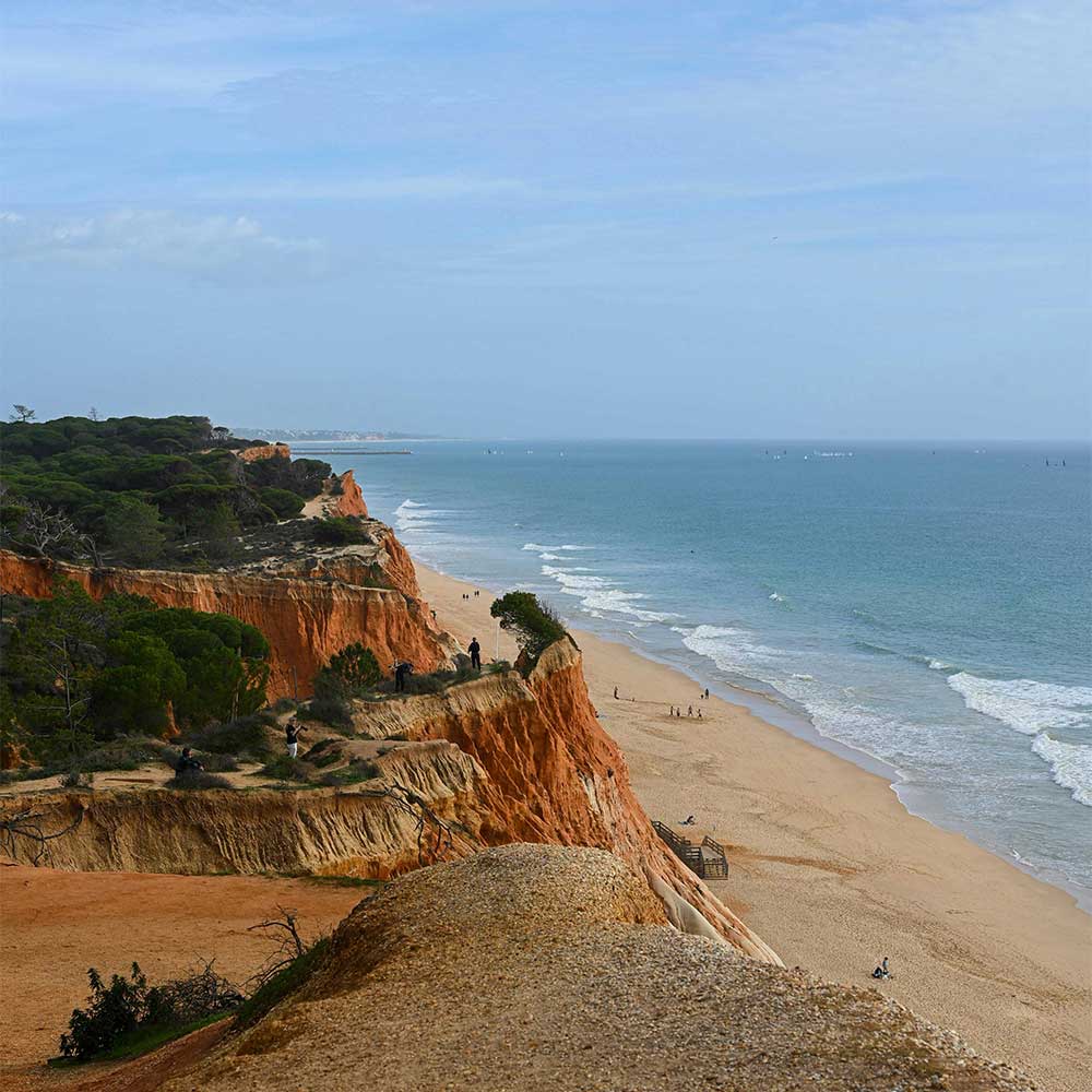 pexels-aloevera-19548225